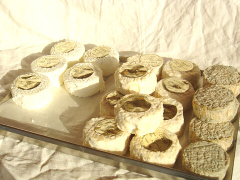 Comté Comté (Qualité B)